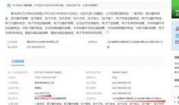 资金最新爆料最新消息,揭秘市场动态与投资新趋势